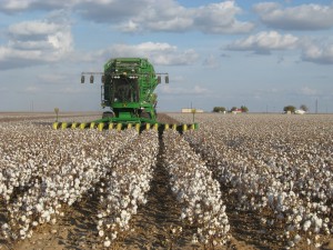 John_Deere_cotton_harvester_kv01-1