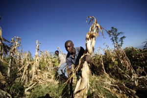  Photo: WFP/Vanessa Vick