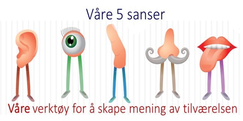 vare-5-sanser