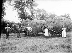 agriculture_england