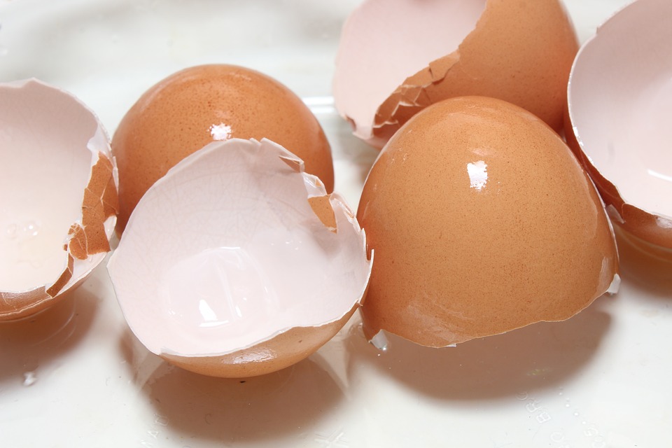 Norsk samarbeid vil utnytte eggemembranens sårhelende egenskaper